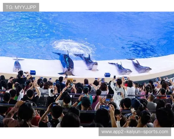 赛事组织方公布门票退改新政策 提升服务体验，赛事服务收费标准